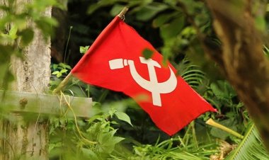കണ്ണൂരിൽ വീണ്ടും വെട്ടിനിരത്തൽ