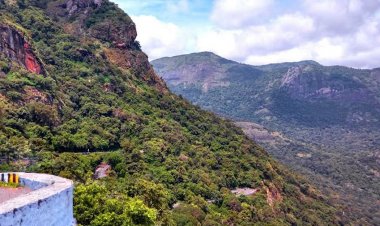 ബഫര്‍ സോണ്‍ ഒരു കിലോമീറ്റർ ആക്കിയത് പിണറായി സർക്കാർ