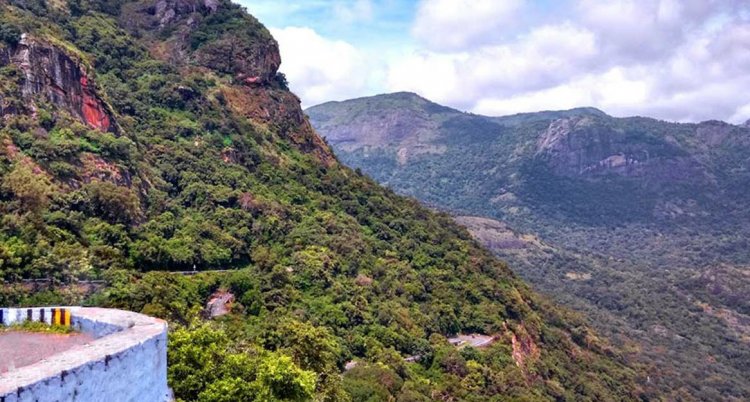 ബഫര്‍ സോണ്‍ ഒരു കിലോമീറ്റർ ആക്കിയത് പിണറായി സർക്കാർ