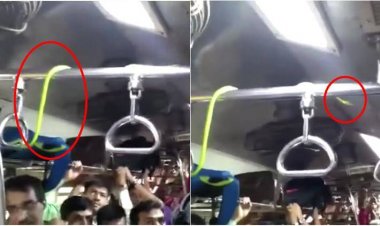 കോഴിക്കോട് ട്രെയിനിലെ അതിഥിയെ കണ്ട് യാത്രക്കാര്‍ ഇറങ്ങി ഓടി!