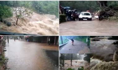 ഏഴു ജില്ലകളിലെ വിദ്യാഭ്യാസ സ്ഥാപനങ്ങൾക്ക് നാളെ അവധി; എംജി പരീക്ഷകൾ മാറ്റി