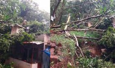 മഴക്കെടുതിയില്‍ എട്ട് മരണം