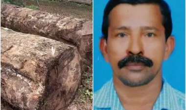 സർക്കാർ വനത്തിൽ നിന്നും 12 ലക്ഷം വിലവരുന്ന  തേക്ക്മരം മുറിച്ചുവിറ്റ് സിപിഎം ബ്രാഞ്ച് സെക്രട്ടറി