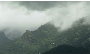 ബഫര്‍സോണ്‍: വിവര ശേഖരണത്തിന് ഉപഗ്രഹ സര്‍വേയ്ക്ക് പുറമേ നേരിട്ടുള്ള പരിശോധനയും