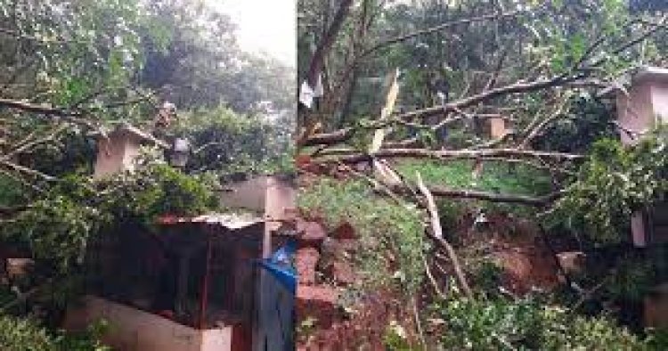 മഴക്കെടുതിയില്‍ എട്ട് മരണം