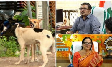 തെരുവുനായ്ക്കളെ കൊല്ലരുത് :കോഴിക്കോട് മേയർ