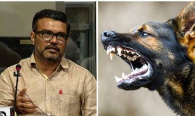 പ്രളയ, കൊവിഡ് കാലത്തേതിന് സമാനമായ ഇടപെടൽ ഉറപ്പ്'; എബിസി പദ്ധതി നടത്തിപ്പ് വിലയിരുത്താൻ നാലംഗ സമിതി