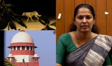 തെരുവുനായ ശല്യം:  കണ്ണൂർ ജില്ലാ പഞ്ചായത്ത് സുപ്രീംകോടതിയിലെ കേസിൽ കക്ഷി ചേരും