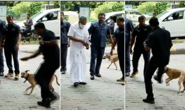 മുഖ്യമന്ത്രിയുടെ അടുത്തെത്തിയ തെരുവ് നായയെ ആട്ടിയോടിച്ച് സുരക്ഷാ ഉദ്യോഗസ്ഥർ