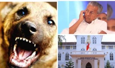 തുടൽപൊട്ടിയ നായയും തുടലിൽ തുടരുന്ന സർക്കാരുമാണിപ്പോൾ കേരളത്തിലുള്ളത് : അങ്കമാലി അതിരൂപത