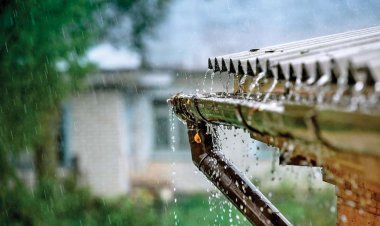 സംസ്ഥാനത്ത് നാളെ മുതൽ 19 വരെ മഴയ്ക്ക് സാധ്യത
