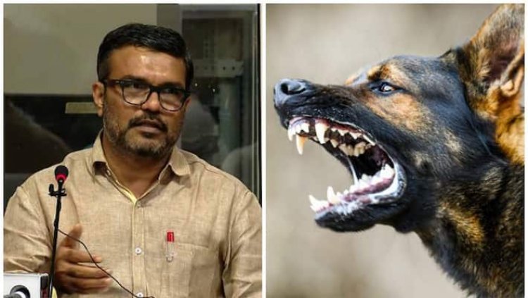പ്രളയ, കൊവിഡ് കാലത്തേതിന് സമാനമായ ഇടപെടൽ ഉറപ്പ്'; എബിസി പദ്ധതി നടത്തിപ്പ് വിലയിരുത്താൻ നാലംഗ സമിതി