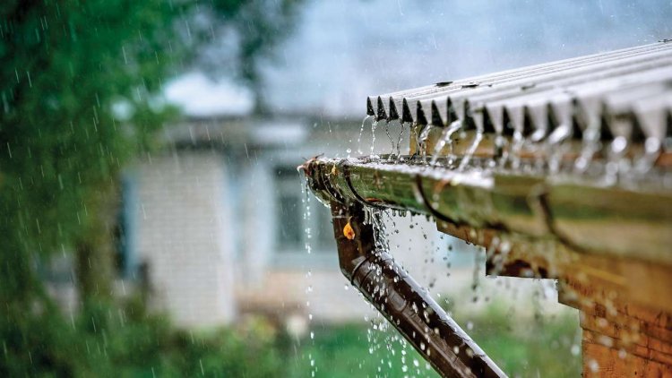 സംസ്ഥാനത്ത് നാളെ മുതൽ 19 വരെ മഴയ്ക്ക് സാധ്യത