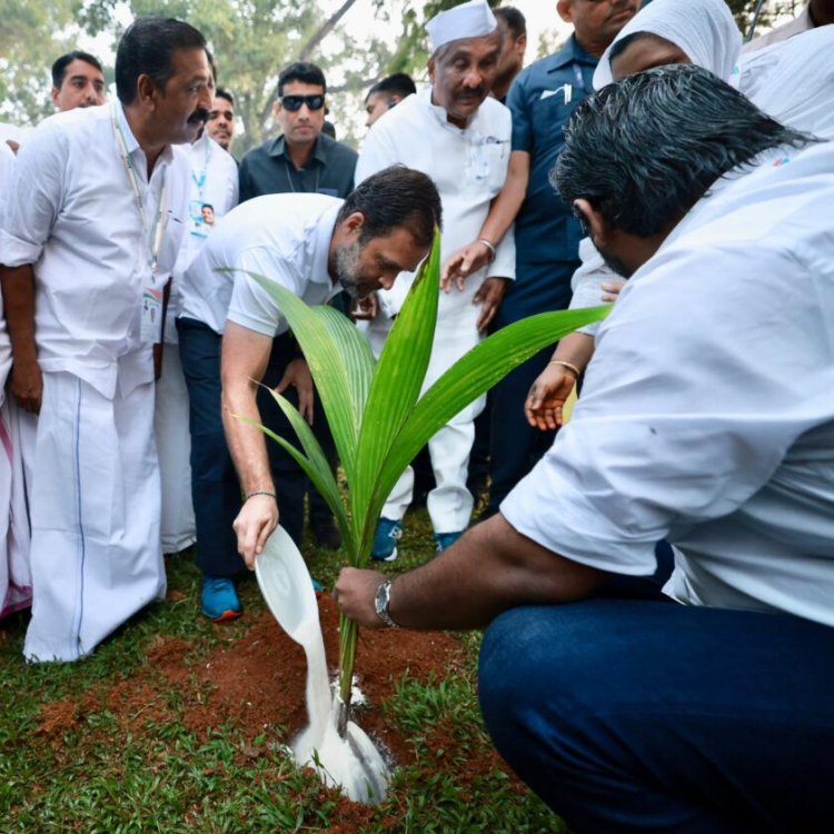 ഗാന്ധിജി നട്ട മാവിൻ ചുവട്ടിൽ ​രാഹുൽ ​ഗാന്ധിയുടെ ആദരം