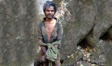 അട്ടപ്പാടി മധുകൊലക്കേസിലെ പന്ത്രണ്ട് പ്രതികൾക്ക് ജീവപര്യന്തം ശിക്ഷ വിധിച്ച് ഹൈക്കോടതി 