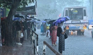 സംസ്ഥാനത്ത് മഴ മുന്നറിയിപ്പില്‍ മാറ്റം; വ്യാഴാഴ്ച എട്ടു ജില്ലകളില്‍ യെലോ അലർട്ട്.