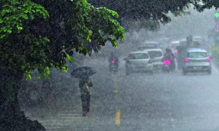മഴ കനക്കും; ബുധൻ വ്യാഴം ദിവസങ്ങളിൽ അതിശക്തമായ മഴ ഉണ്ടാകുമെന്ന് മുന്നറിയിപ്പ്