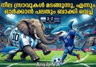 മയാമിയിലെ കണ്ണീരും കാബോ വെർദെയുടെ സിംഹവീര്യവും