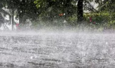 കേരളത്തിൽ കാലവർഷം കടുക്കുന്നു: അഞ്ച് ദിവസം ഇടിമിന്നലോടു കൂടിയ അതിശക്തമായ മഴയ്ക്കും കാറ്റിനും സാധ്യത; വിവിധ ജില്ലകളിൽ ഓറഞ്ച്, യെല്ലോ അലർട്ടുകൾ