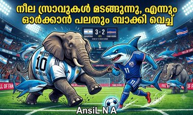 മയാമിയിലെ കണ്ണീരും കാബോ വെർദെയുടെ സിംഹവീര്യവും