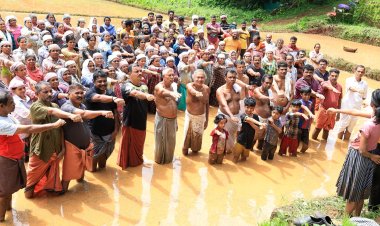 കൃഷി ലഹരിയിൽ കാട്ടുകുളങ്ങര. ലഹരി മുക്ത നാടിനായി ദൃഡ പ്രതിജ്ഞ.