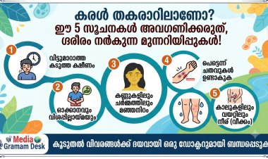 കരൾ തകരാറിലാണോ? ഈ 5 സൂചനകൾ അവഗണിക്കരുത്