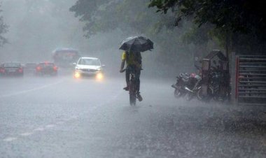 കേരളത്തിൽ അതിശക്തമായ മഴ മുന്നറിയിപ്പ്; 11 ജില്ലകളിൽ ഓറഞ്ച് അലർട്ട്, വയനാട്ടിലെ വിദ്യാഭ്യാസ സ്ഥാപനങ്ങൾക്ക് നാളെ അവധി