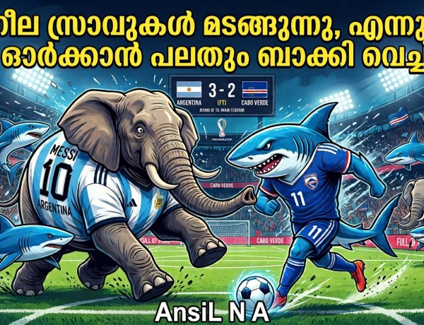 മയാമിയിലെ കണ്ണീരും കാബോ വെർദെയുടെ സിംഹവീര്യവും