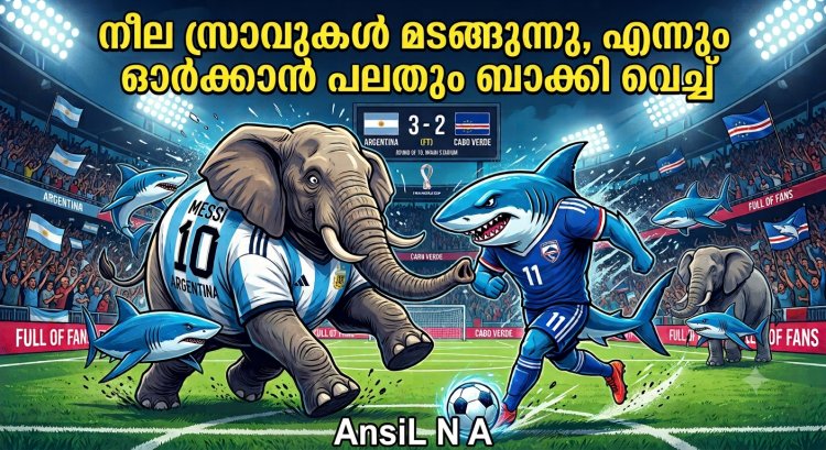മയാമിയിലെ കണ്ണീരും കാബോ വെർദെയുടെ സിംഹവീര്യവും