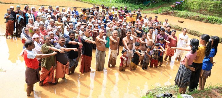 കൃഷി ലഹരിയിൽ കാട്ടുകുളങ്ങര. ലഹരി മുക്ത നാടിനായി ദൃഡ പ്രതിജ്ഞ.