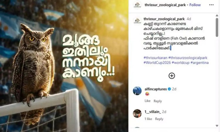 'മൂങ്ങ ഇതിലും നന്നായി കാണും'; അര്‍ജന്റീനക്ക് ട്രോളുമായി തൃശൂരിലെ പുത്തൂര്‍ സുവോളജിക്കല്‍ പാര്‍ക്കും, സോഷ്യല്‍ മീഡിയയില്‍ വൈറല്‍