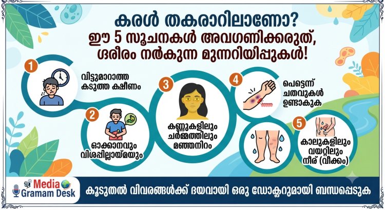 കരൾ തകരാറിലാണോ? ഈ 5 സൂചനകൾ അവഗണിക്കരുത്