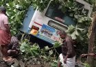 നെല്ലിയാമ്പതി ചുരത്തിൽ കെഎസ്ആർടിസി ബസ് മറിഞ്ഞു; ഒരാൾ മരിച്ചു, നിരവധി പേർക്ക് പരിക്ക്