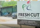 നാലാമത്തെ പൂട്ടിൽ കൊമ്പന്മാരെ തളച്ച് UDF ; വിസ്മയം തീർത്ത് പി.കെ ഫിറോസ്