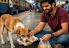 റെയിൽവേ സ്റ്റേഷനിൽ തെരുവുനായകൾക്ക് തീറ്റ നൽകിയാൽ ₹500 പിഴ