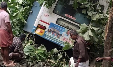 നെല്ലിയാമ്പതി ചുരത്തിൽ കെഎസ്ആർടിസി ബസ് മറിഞ്ഞു; ഒരാൾ മരിച്ചു, നിരവധി പേർക്ക് പരിക്ക്