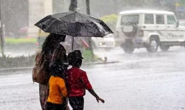 കേരളത്തിൽ ശക്തമായ മഴ തുടരും; ഇന്ന് 7 ജില്ലകളിൽ ഓറഞ്ച് അലർട്ട്