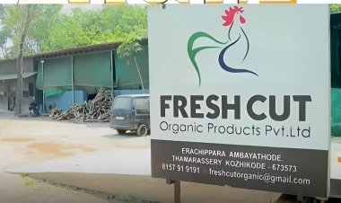 നാലാമത്തെ പൂട്ടിൽ കൊമ്പന്മാരെ തളച്ച് UDF ; വിസ്മയം തീർത്ത് പി.കെ ഫിറോസ്