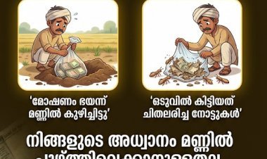 മോഷണം ഭയന്ന് മണ്ണിൽ കുഴിച്ചിട്ടത് 5 ലക്ഷം രൂപ; ഒടുവിൽ കിട്ടിയത് ചിതലരിച്ച നോട്ടുകൾ: ഒരു കർഷകന്റെ അനുഭവം നൽകുന്ന ജീവിതപാഠം