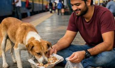 റെയിൽവേ സ്റ്റേഷനിൽ തെരുവുനായകൾക്ക് തീറ്റ നൽകിയാൽ ₹500 പിഴ
