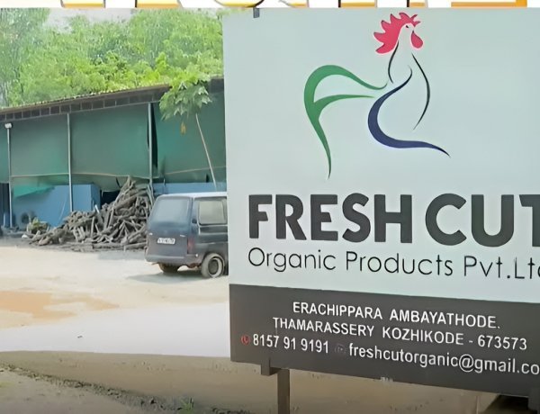 നാലാമത്തെ പൂട്ടിൽ കൊമ്പന്മാരെ തളച്ച് UDF ; വിസ്മയം തീർത്ത് പി.കെ ഫിറോസ്