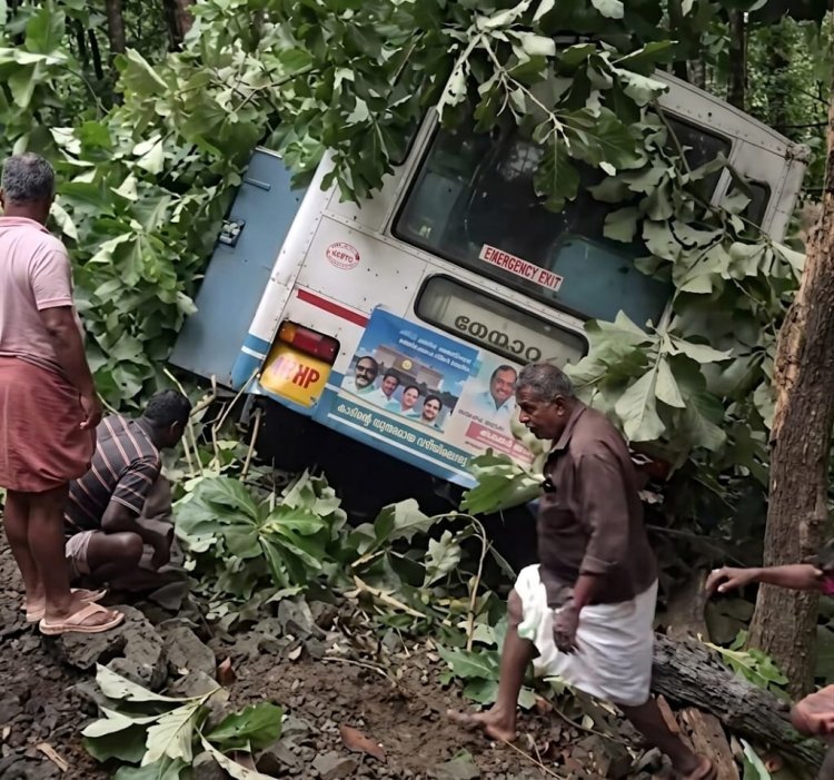 നെല്ലിയാമ്പതി ചുരത്തിൽ കെഎസ്ആർടിസി ബസ് മറിഞ്ഞു; ഒരാൾ മരിച്ചു, നിരവധി പേർക്ക് പരിക്ക്