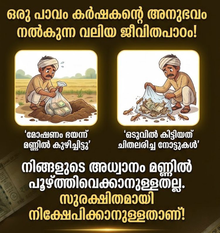 മോഷണം ഭയന്ന് മണ്ണിൽ കുഴിച്ചിട്ടത് 5 ലക്ഷം രൂപ; ഒടുവിൽ കിട്ടിയത് ചിതലരിച്ച നോട്ടുകൾ: ഒരു കർഷകന്റെ അനുഭവം നൽകുന്ന ജീവിതപാഠം