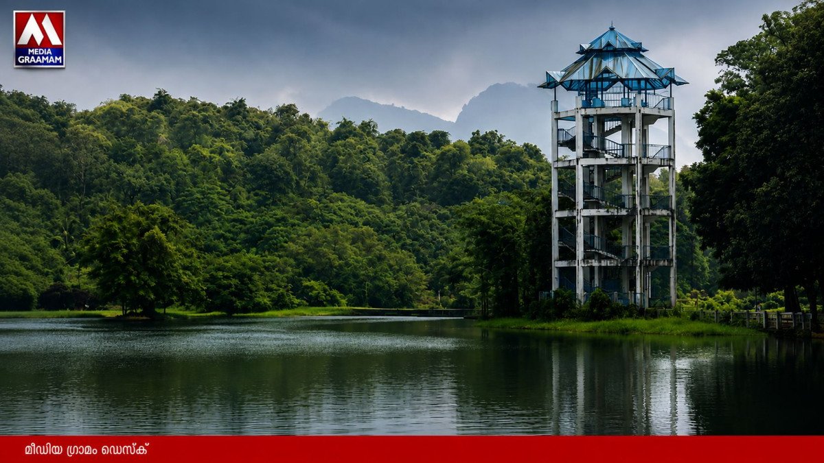പച്ചപ്പിന്റെ വന്യത ഇനി ആകാശക്കാഴ്ചയിൽ; 10 വർഷത്തിന് ശേഷം ഭൂതത്താൻകെട്ടിലെ വാച്ച് ടവർ തുറന്നു!