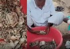 മോഷണം ഭയന്ന് മണ്ണിൽ കുഴിച്ചിട്ടത് 5 ലക്ഷം രൂപ; ഒടുവിൽ കിട്ടിയത് ചിതലരിച്ച നോട്ടുകൾ: ഒരു കർഷകന്റെ അനുഭവം നൽകുന്ന ജീവിതപാഠം