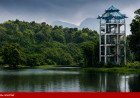 പച്ചപ്പിന്റെ വന്യത ഇനി ആകാശക്കാഴ്ചയിൽ; 10 വർഷത്തിന് ശേഷം ഭൂതത്താൻകെട്ടിലെ വാച്ച് ടവർ തുറന്നു!
