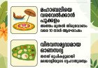 ഐതിഹ്യവും ആവേശവും നിറയുന്ന മാവേലിനാട്: ഐശ്വര്യത്തിന്റെ പൊന്നോണം