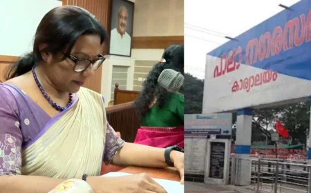 യുഡിഎഫിനെ വീഴ്ത്തി മായാ രാഹുൽ; പാലാ നഗരസഭയിൽ പുതിയ രാഷ്ട്രീയ നീക്കം 