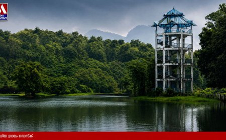പച്ചപ്പിന്റെ വന്യത ഇനി ആകാശക്കാഴ്ചയിൽ; 10 വർഷത്തിന് ശേഷം ഭൂതത്താൻകെട്ടിലെ വാച്ച് ടവർ തുറന്നു!