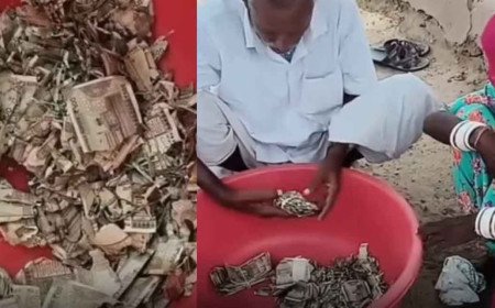 മോഷണം ഭയന്ന് മണ്ണിൽ കുഴിച്ചിട്ടത് 5 ലക്ഷം രൂപ; ഒടുവിൽ കിട്ടിയത് ചിതലരിച്ച നോട്ടുകൾ: ഒരു കർഷകന്റെ അനുഭവം നൽകുന്ന ജീവിതപാഠം